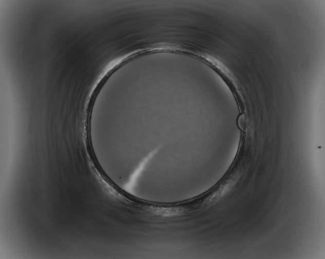 X0000086030941200704131909