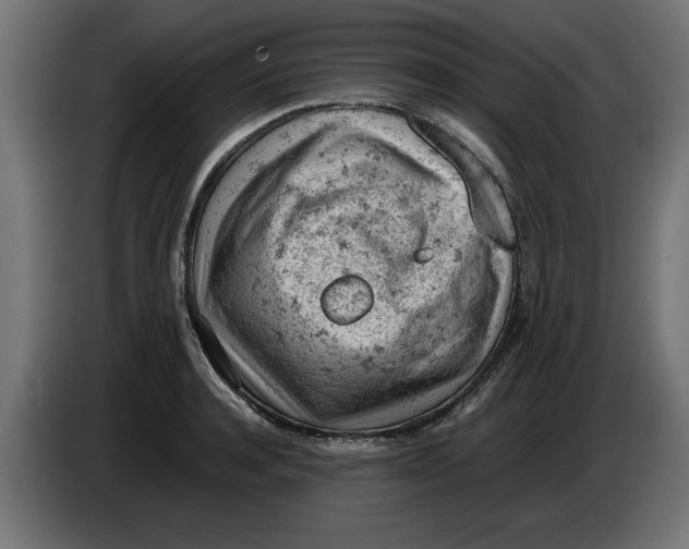 X0000086030944200704131909