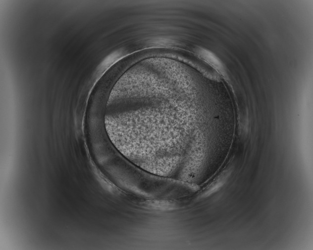 X0000086030946200704131909