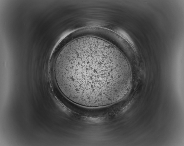 X0000086030948200704131909