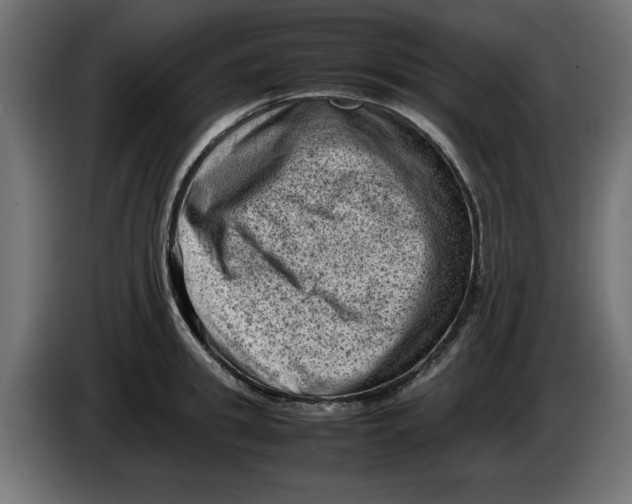 X0000086030949200704131909