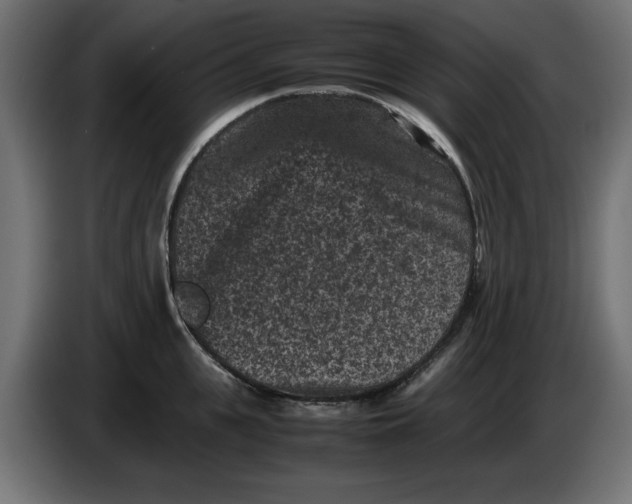 X0000086030951200704131910