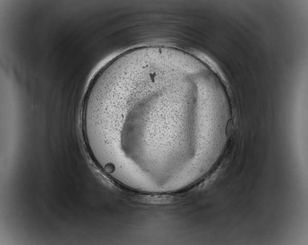 X0000086030952200704131910