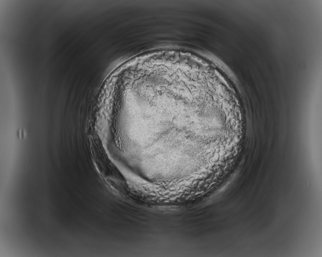 X0000086030953200704131910