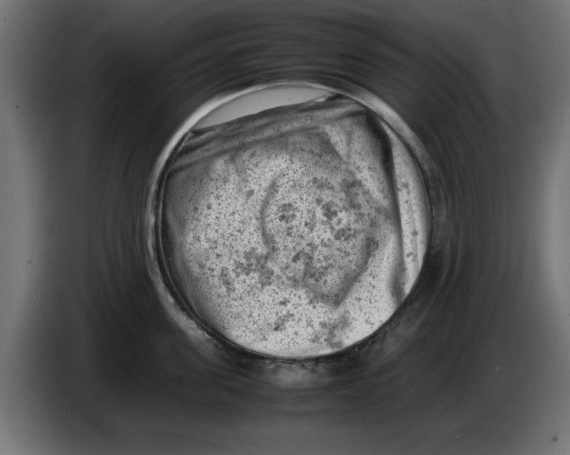 X0000086030955200704131910