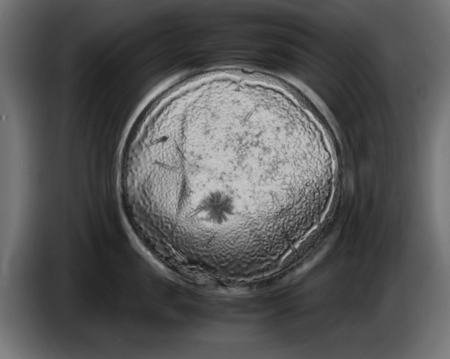 X0000086030957200704131910