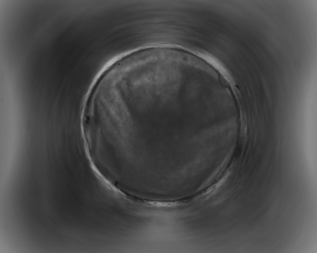 X0000086030958200704131910