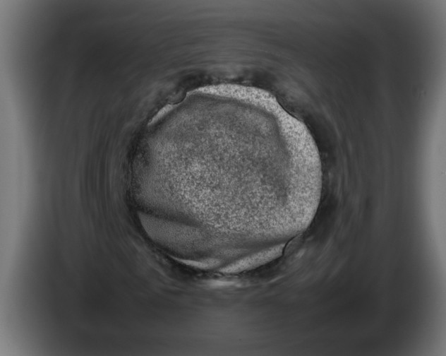 X0000086030961200704131909