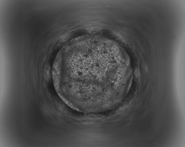 X0000086030963200704131909