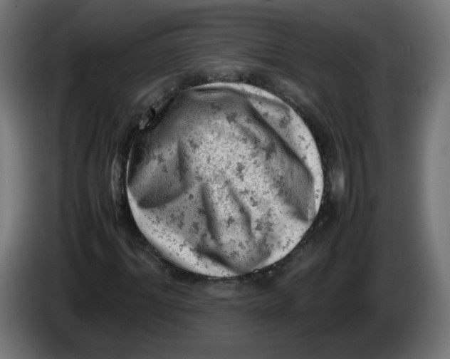 X0000086030964200704131909