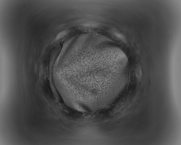 X0000086030965200704131909