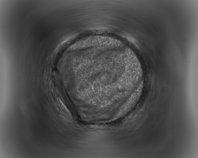 X0000086030967200704131909