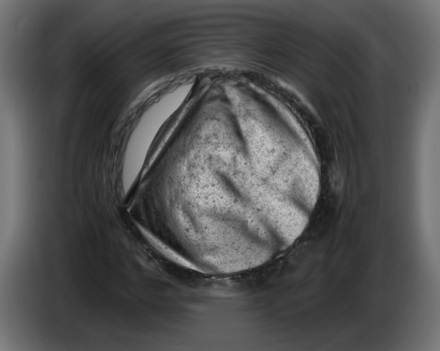 X0000086030968200704131909