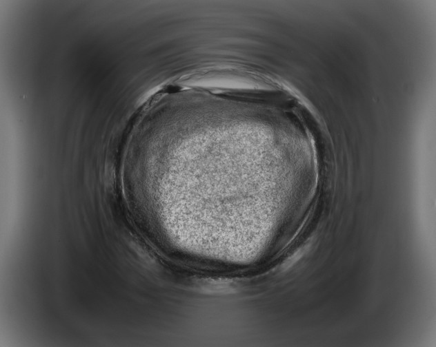 X0000086030969200704131909