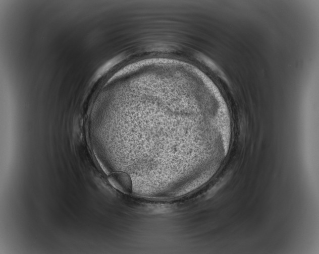 X0000086030970200704131909