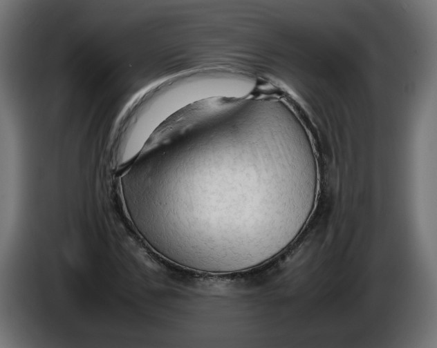 X0000086030971200704131909