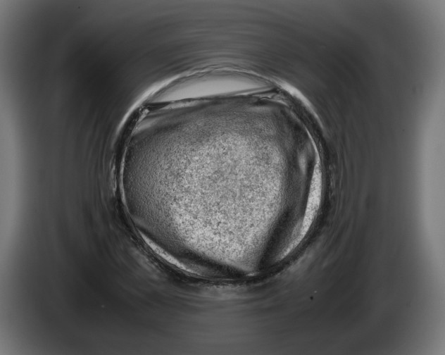 X0000086030973200704131909