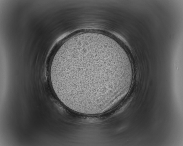 X0000086030974200704131909