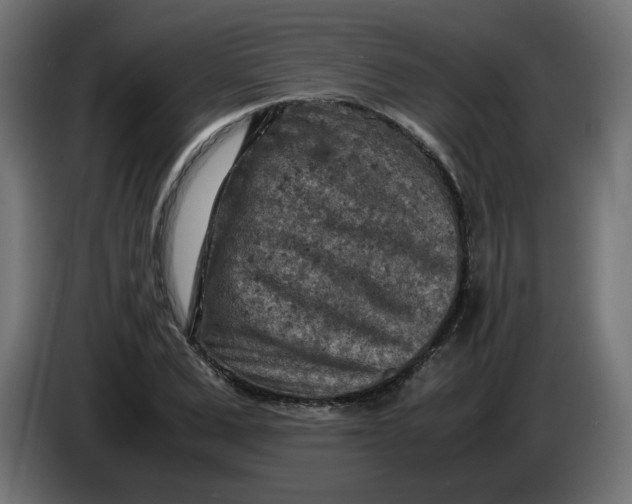 X0000086030975200704131909