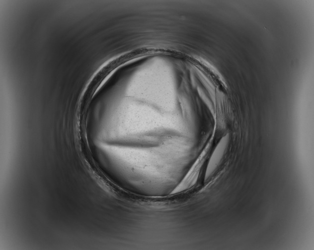 X0000086030976200704131909