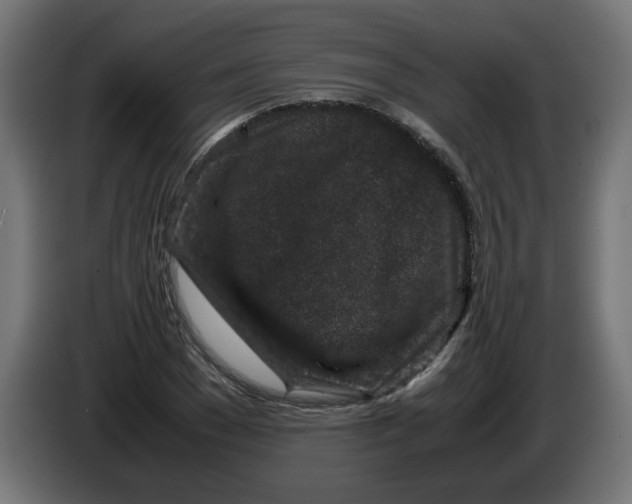 X0000086030977200704131909