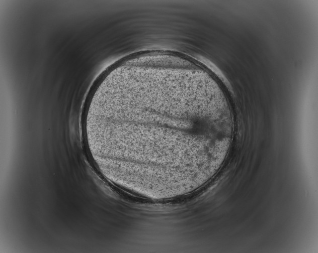 X0000086030980200704131909