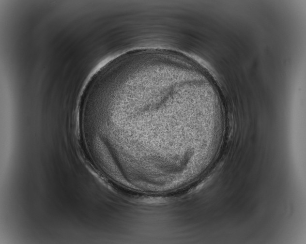 X0000086030982200704131909