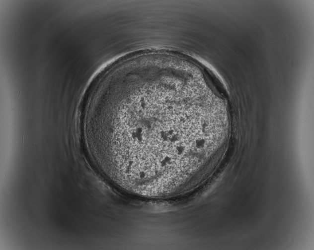 X0000086030983200704131909