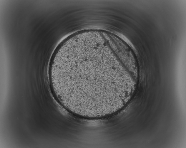 X0000086030988200704131909