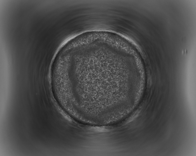 X0000086030990200704131909