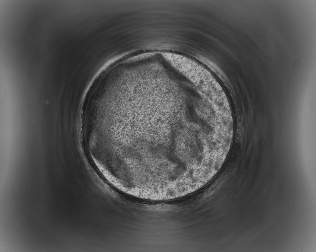 X0000086030992200704131909