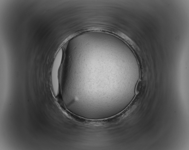 X0000086030993200704131909