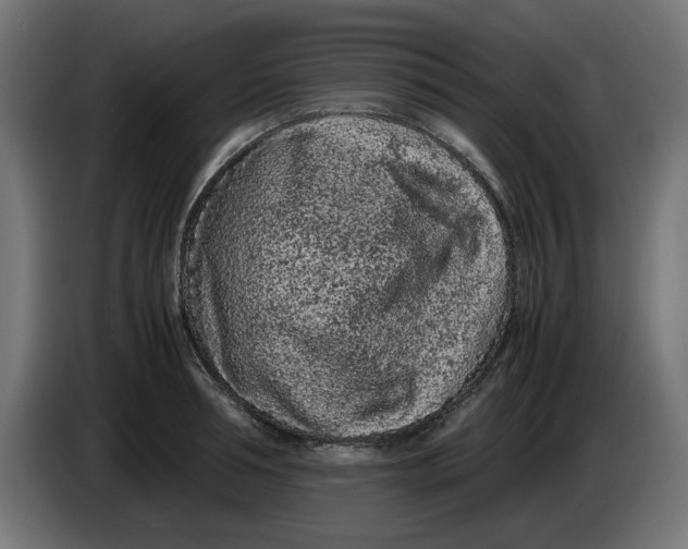 X0000086030994200704131908