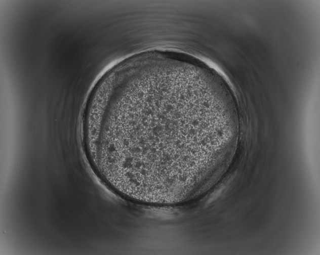 X0000086030999200704131908