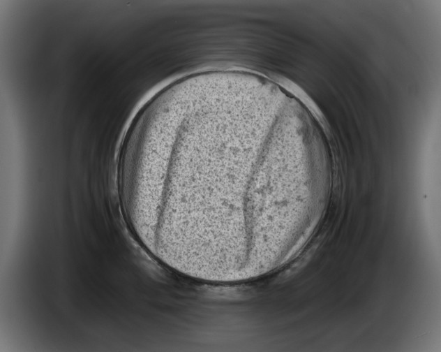 X0000086031004200704131908