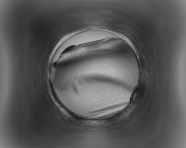 X0000086031005200704131908