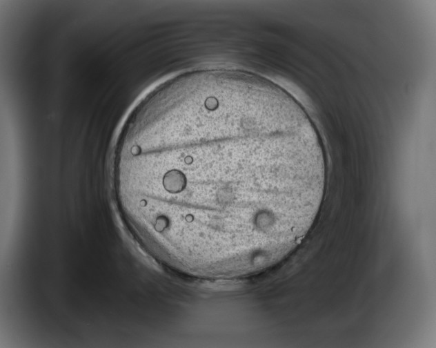 X0000086031008200704131908