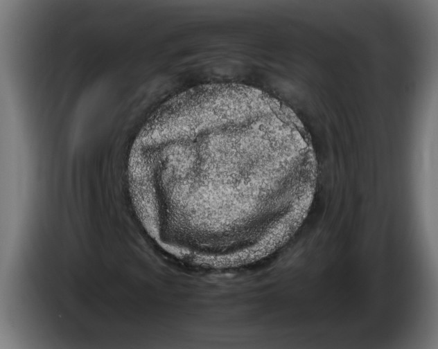 X0000086031009200704131908