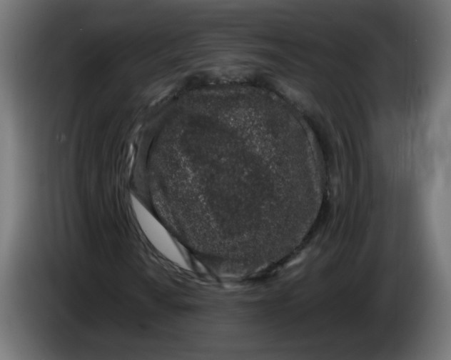 X0000086031010200704131908