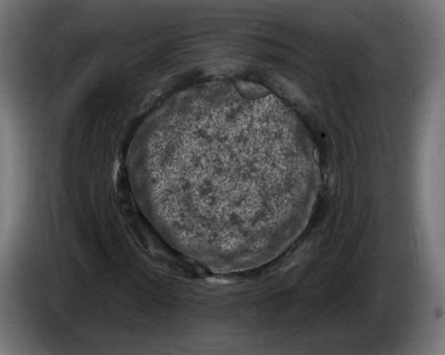 X0000086031012200704131908