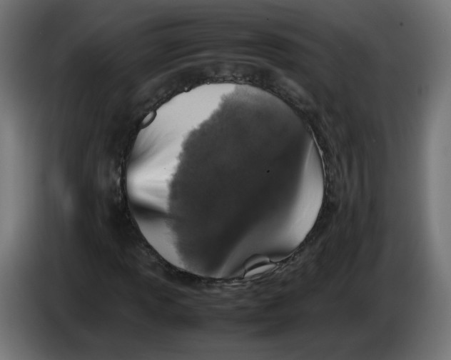 X0000086031013200704131908