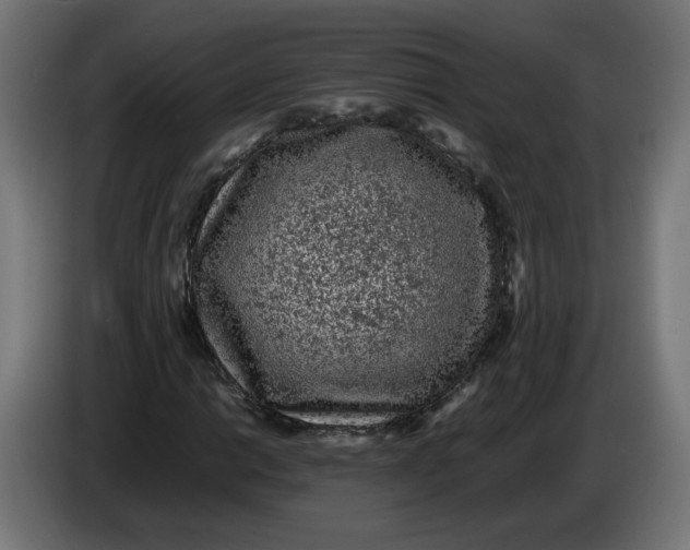 X0000086031014200704131908