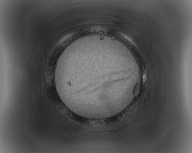 X0000086031015200704131908