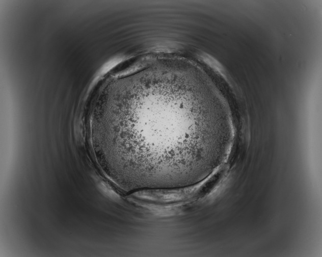 X0000086031018200704131908