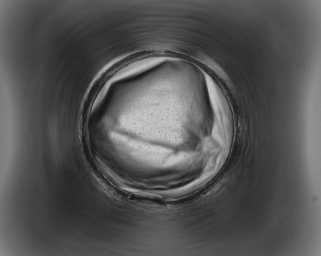 X0000086031020200704131908