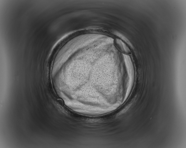 X0000086031021200704131908