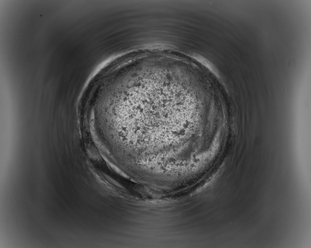 X0000086031022200704131908