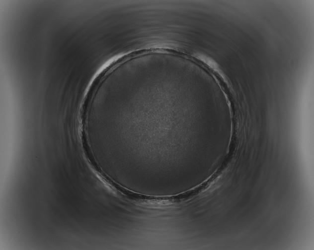 X0000086031024200704131908