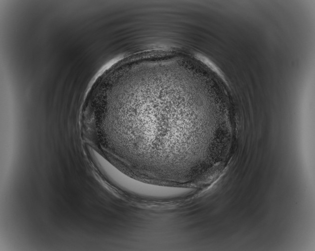 X0000086031026200704131908