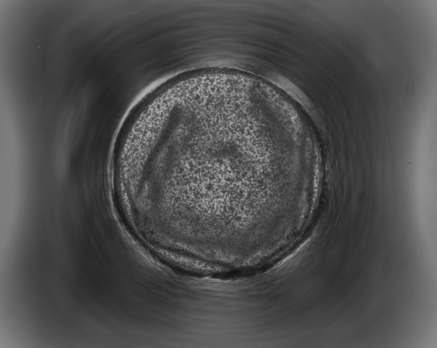 X0000086031028200704131908